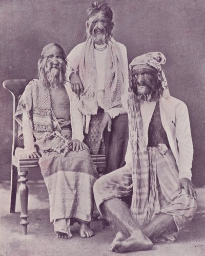 Den burmesiske behårede familie af English Photographer