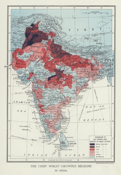 De vigtigste hvededyrkende regioner, Indien (foto) af English Photographer