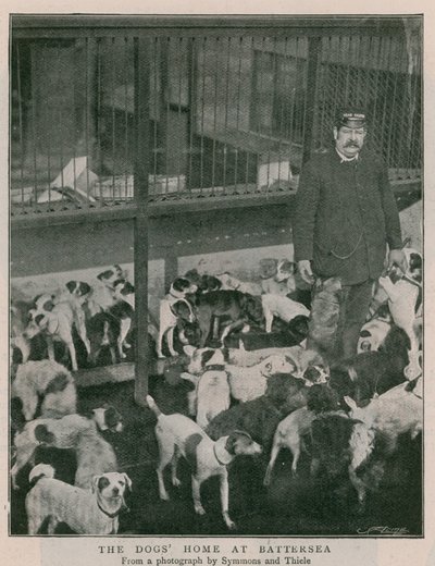 Hundehjemmet ved Battersea af English Photographer