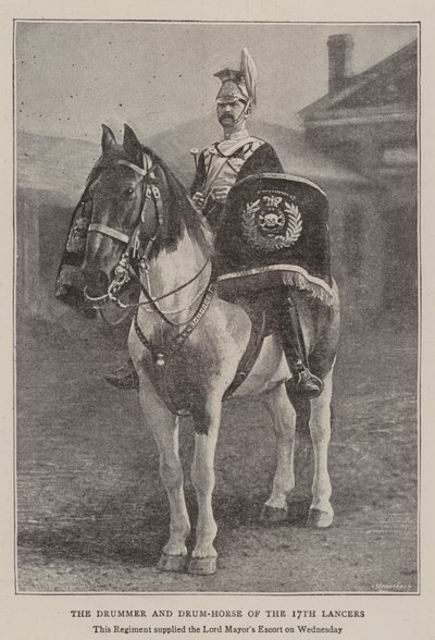 Den 17. Lancers trommeslager og trommehest af English Photographer