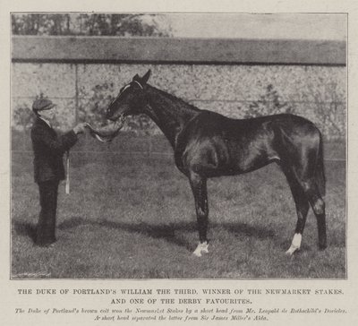 Hertugen af Portlands William den tredje, vinder af Newmarket Stakes og en af Derby-favoritterne af English Photographer