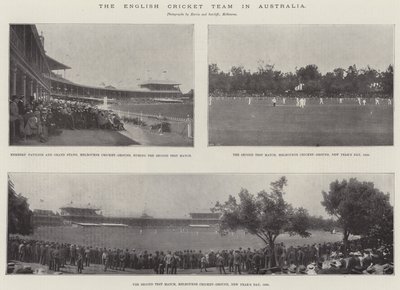 Det engelske crickethold i Australien af English Photographer