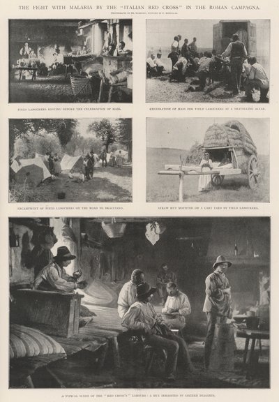 Kampen mod malaria af det italienske Røde Kors i den romerske Campagna af English Photographer