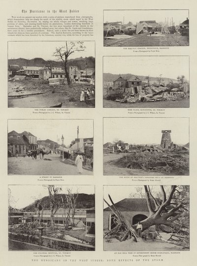 Orkanen i Vestindien, nogle virkninger af stormen af English Photographer