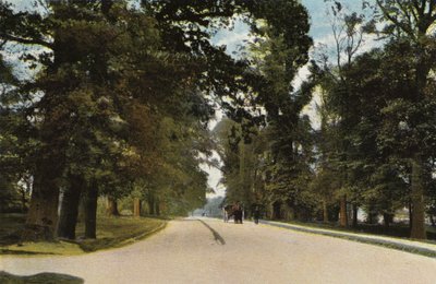 The Long Avenue, Coventry af English Photographer