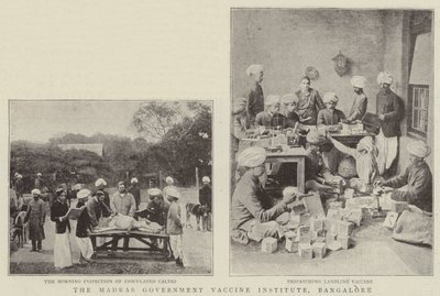 Madras Government Vaccine Institute, Bangalore af English Photographer