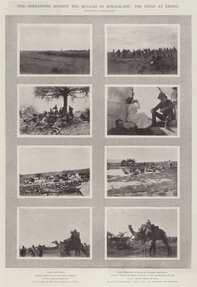 Operationerne mod Mullahen i Somaliland, Kampen ved Erego af English Photographer