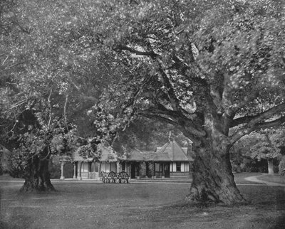 Dronningens te-værelse i Frogmore (s/h-billede) af English Photographer