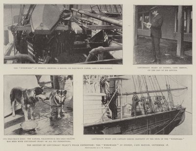 Løjtnant Pearys Polar Expeditions tilbagevenden, Windward ved Sydney, Cape Breton, 18. september af English Photographer
