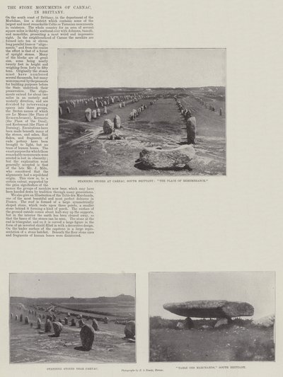 Stenmonumenterne i Carnac, i Bretagne af English Photographer