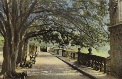 The Terrace, Haddon Hall af English Photographer
