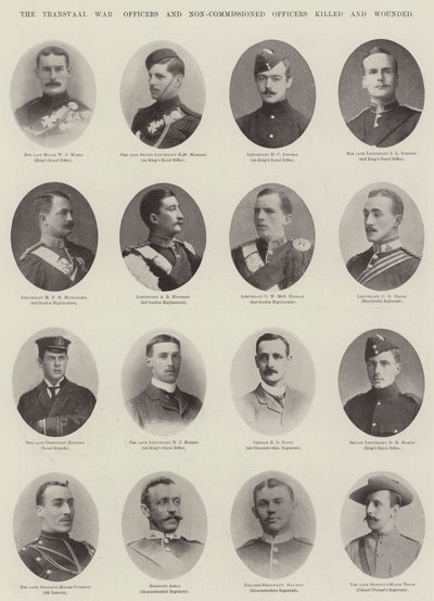 Transvaalkrigen, officerer og underofficerer dræbt og såret af English Photographer