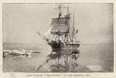 Hvalfangeren Belvedere i Beringhavet af English Photographer