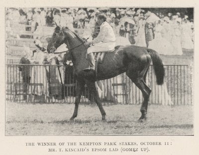 Vinderen af Kempton Park Stakes, 11. oktober, Mr T Kincaids Epsom Lad (Gomez up) af English Photographer