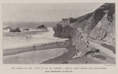 Vraget af byen Rio de Janeiro, stranden, Cliff House og Seal Rocks, San Francisco Havn af English Photographer