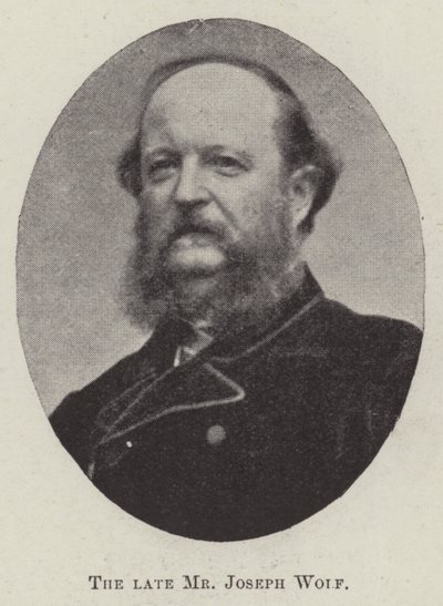 Den afdøde hr. Joseph Wolf af English Photographer