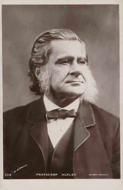 Thomas Henry Huxley (1825-1895, engelsk biolog) af English Photographer