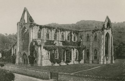 Tintern Abbey af English Photographer