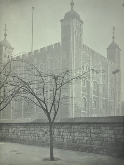 Tower of London, Tower Hill: White Tower, 1899 af English Photographer