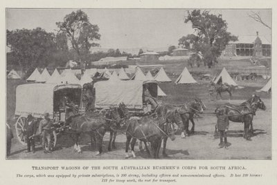 Transportvogne fra South Australian Bushmens Corps til Sydafrika af English Photographer