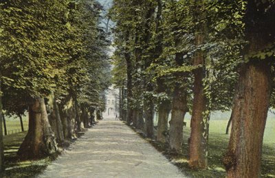 Trinity College, The Avenue af English Photographer