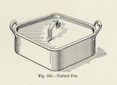 Pighvar-pande (foto) af English Photographer