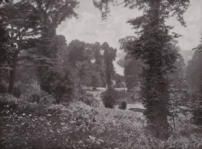 Udsigt fra Terrace Gardens, Richmond, ser Up-Stream af English Photographer