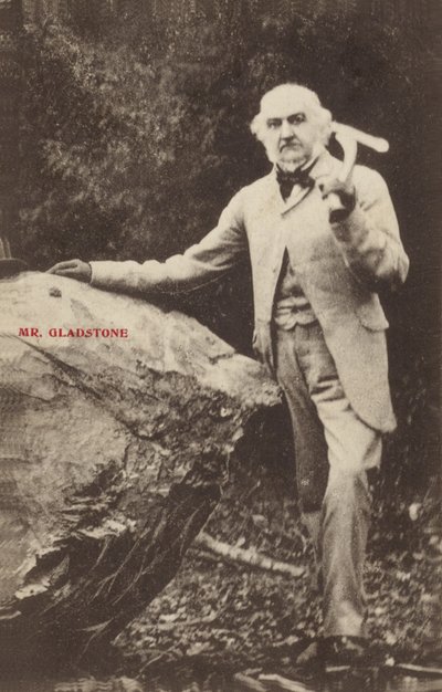 William Ewart Gladstone af English Photographer