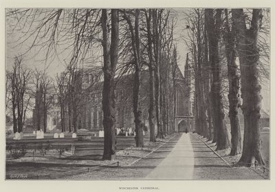 Winchester katedral af English Photographer
