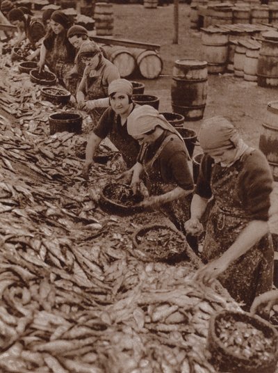 Kvinder i Great Yarmouth deler og renser sild (s/h foto) af English Photographer