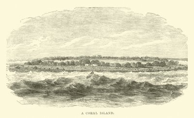 En koralø af English School