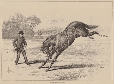 Ein widerspenstiges Kind (Gravur) von English School