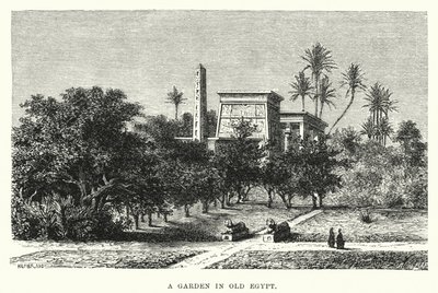 En have i det gamle Egypten (gravering) af English School