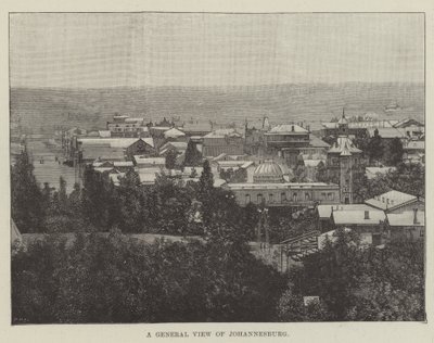 Eine Gesamtansicht von Johannesburg (Gravur) von English School
