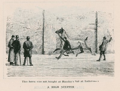 Ein Hochspringer - dieses Pferd wurde nicht bei Hamleys, sondern bei Tattersalls gekauft von English School