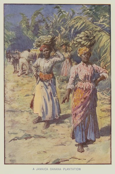 En bananplantage på Jamaica (farvelitografi) af English School