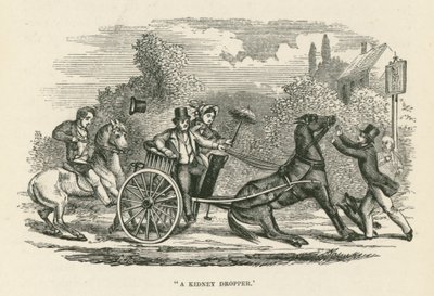 "En nyredråber" (gravering) af English School