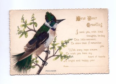 Et nytårs lykønskningskort af en isfugl lavet af fjer monteret på et håndmalet træ, omkring 1900 af English School