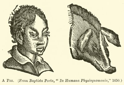 Ein Schwein von English School