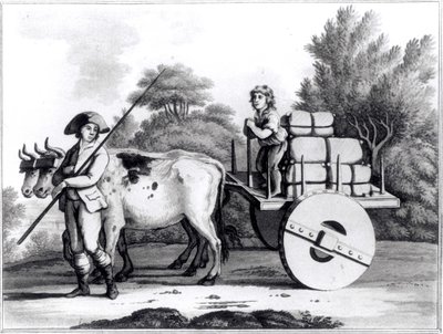 En portugisisk gård, fra A General View of the State of Portugal af James Murphy, udgivet 1797 af English School