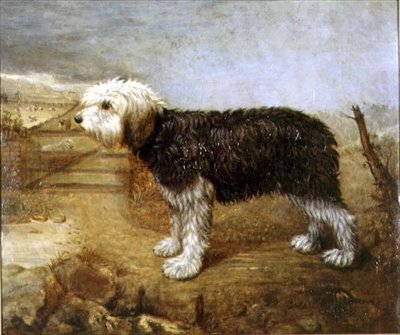 Ein Schäferhund, Felder dahinter von English School