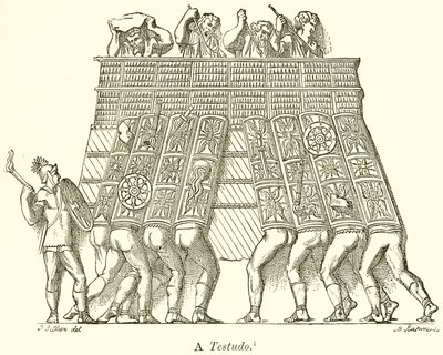Til Testudo af English School