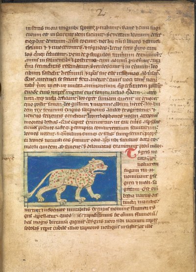 En tiger, fra Sloane 3544, f.2 (pergament) af English School
