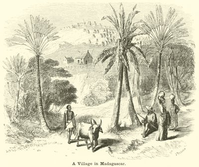 En landsby på Madagaskar af English School