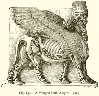 En bevinget Tyr, Assyrien af English School