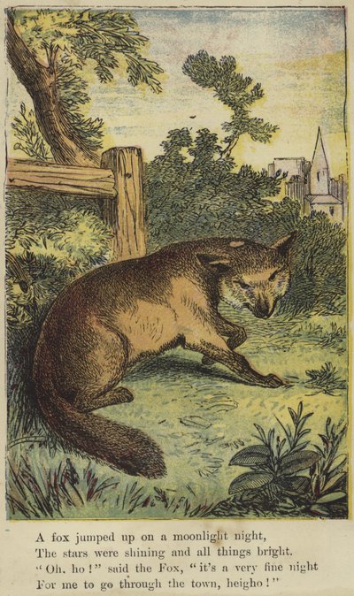 En ræv sprang op på en nat i måneskin af English School