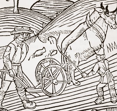 Et par okser bundet til en plov, titelblad fra John Fitzherberts Boke of Husbandry, første pub. 1523 af English School