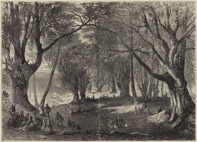 Udsigt i Epping Skov af English School