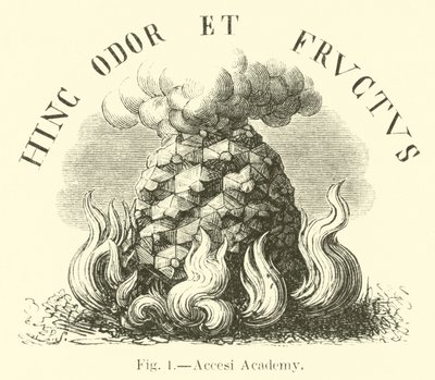 Jeg tændte for Academy af English School