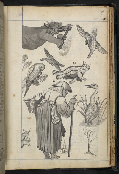 Tilføj MS 32496 f.49r Illustration fra 